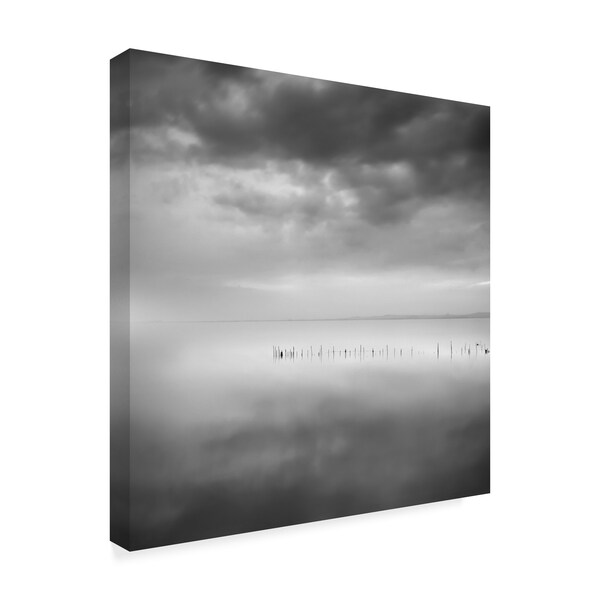 George Digalakis 'Sixty Shades Of Gray' Canvas Art,14x14
